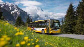 Linea di autobus di montagna Grosse Scheidegg n. 128